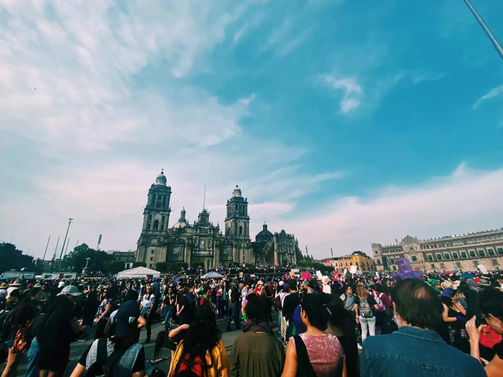 WhatsApp Image 2020-03-08 at 7.31.09 PM