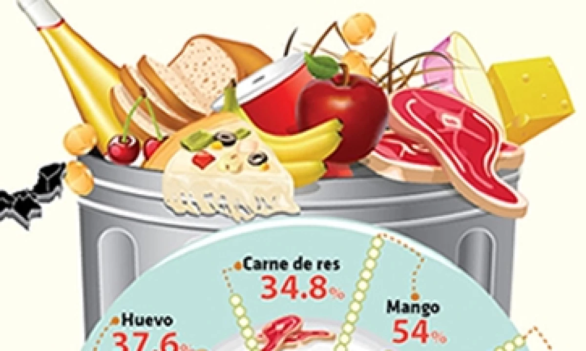 Infograf�a Alimentos