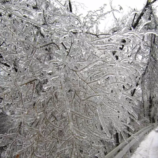 toronto tormenta de nieve