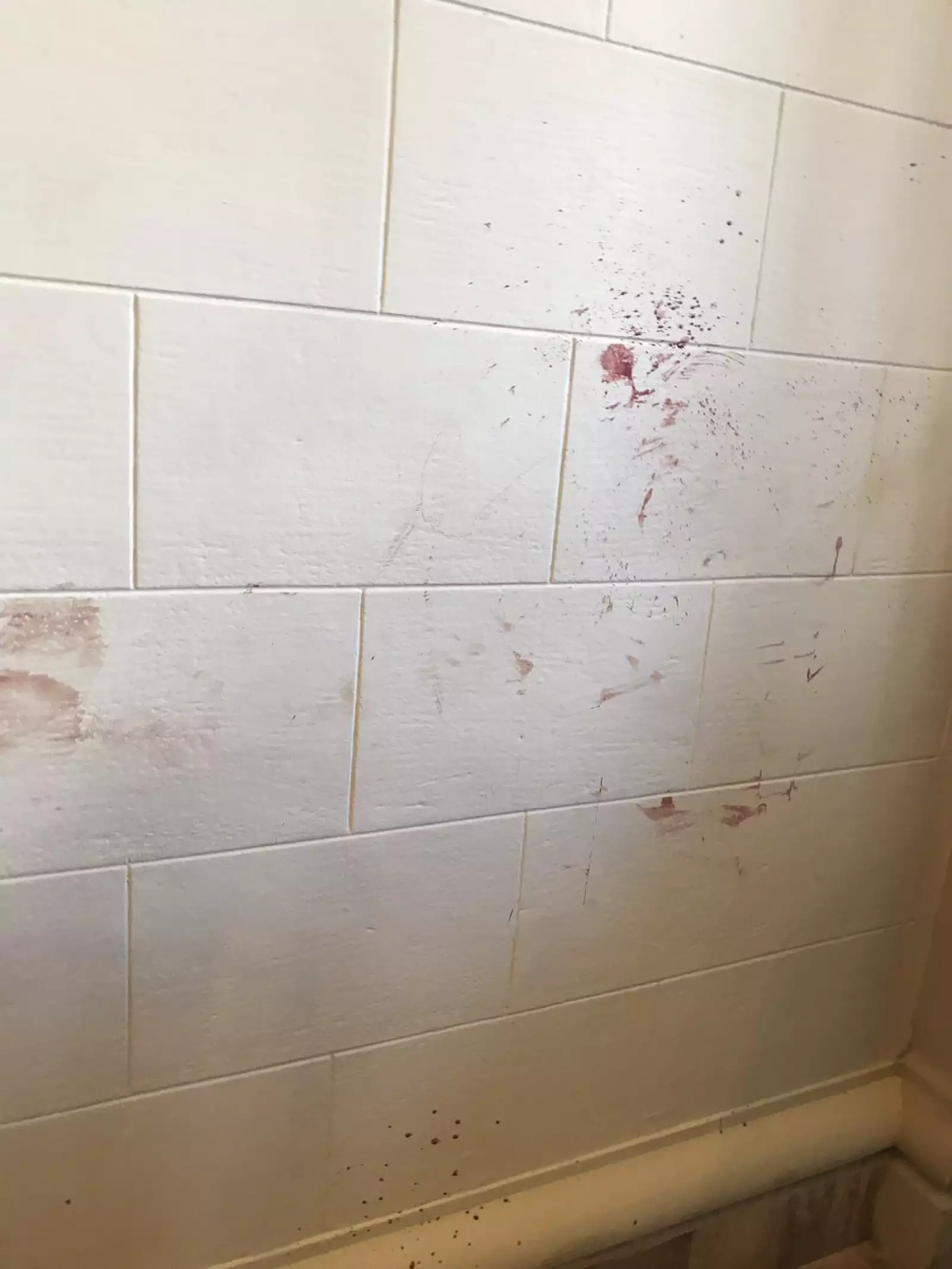 Caos y sangre en el Congreso de Venezuela