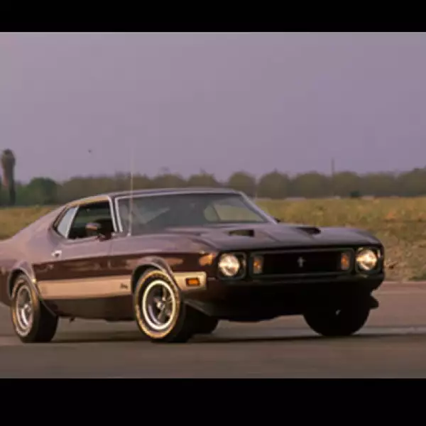 El modelo de 1973 fue el último Mustang con la plataforma Falcon.