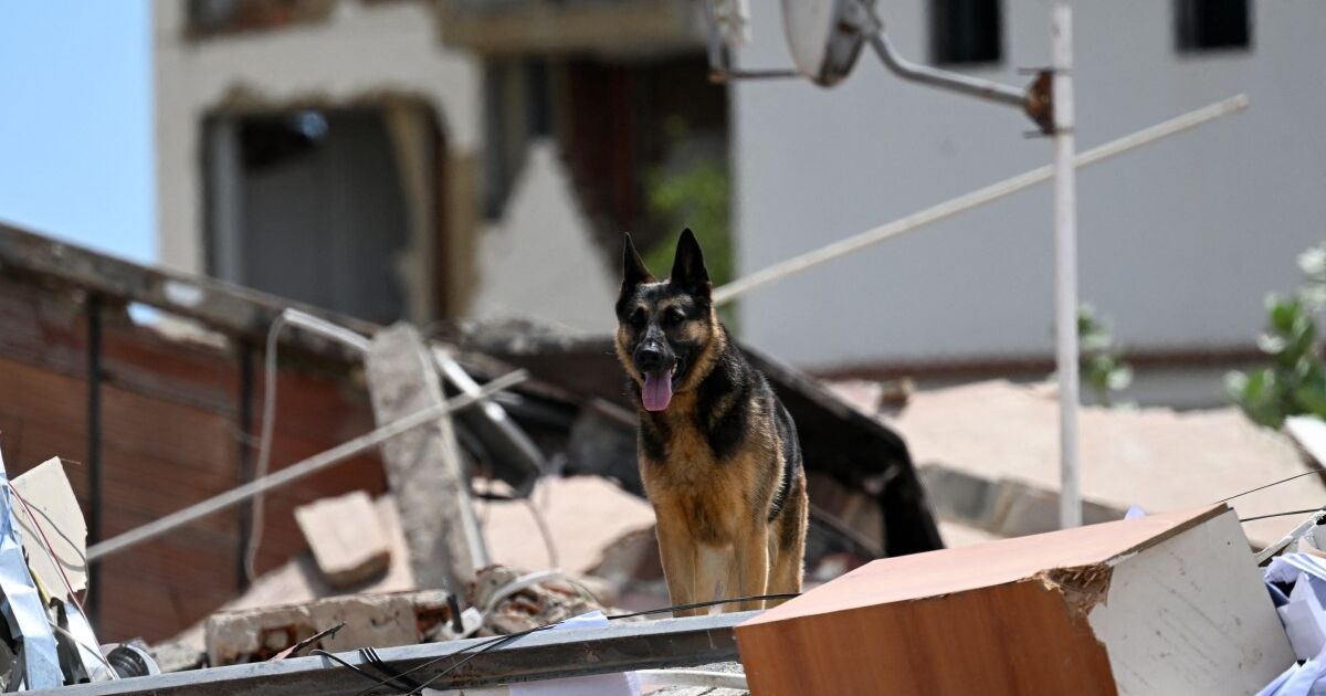 TERREMOTO EN VENEZUELA: CAOS Y MUERTE