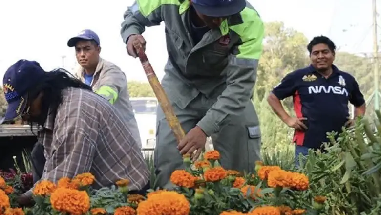 flores de cempas�chitl 1