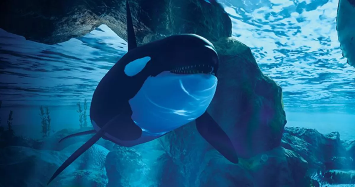 oceano universum.JPG