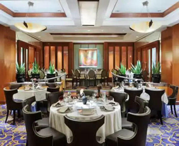 Cuando visitamos el restaurante Tabachin, quedamos fascinados por su Salmón en Salsa de Miel con chile ancho y la atención personalizada del chef.