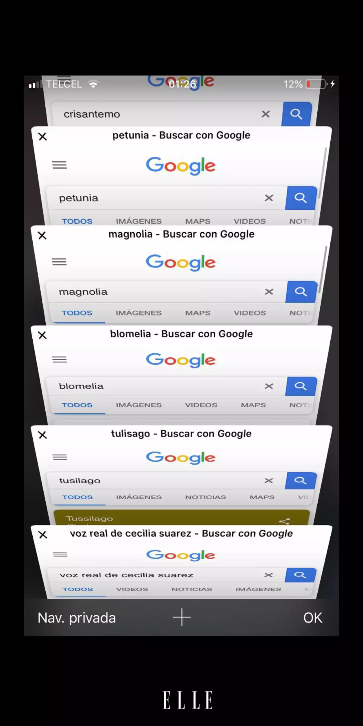 La-Casa-De-Las-Flores-Meme-ELLE-10