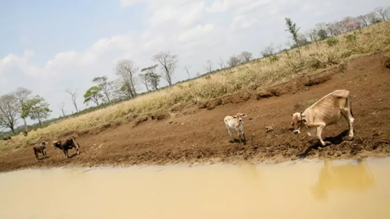 sequía México estiaje