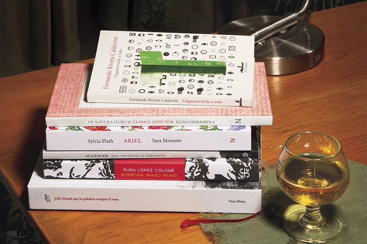 estantería poemarios.jpg