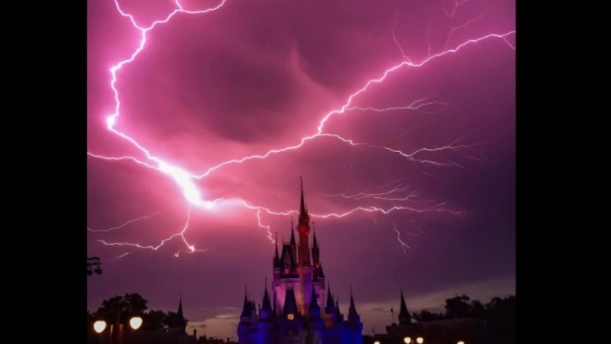 rayos disney world
