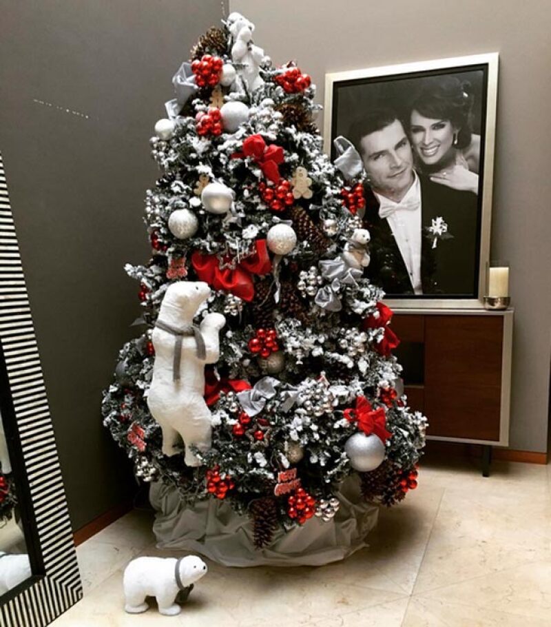 Tras publicar dicho tuit, Jacky compartió con sus seguidores que la Navidad había llegado a su casa.