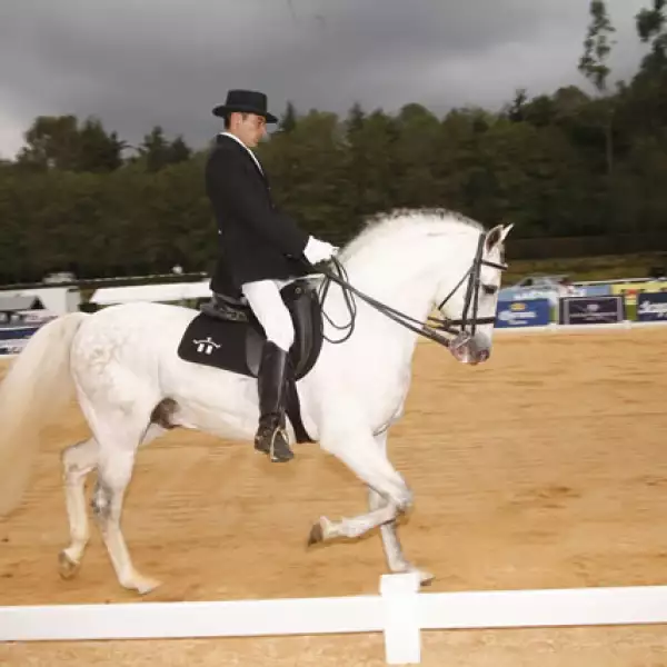 Peyrelonge poresentado por Scappino