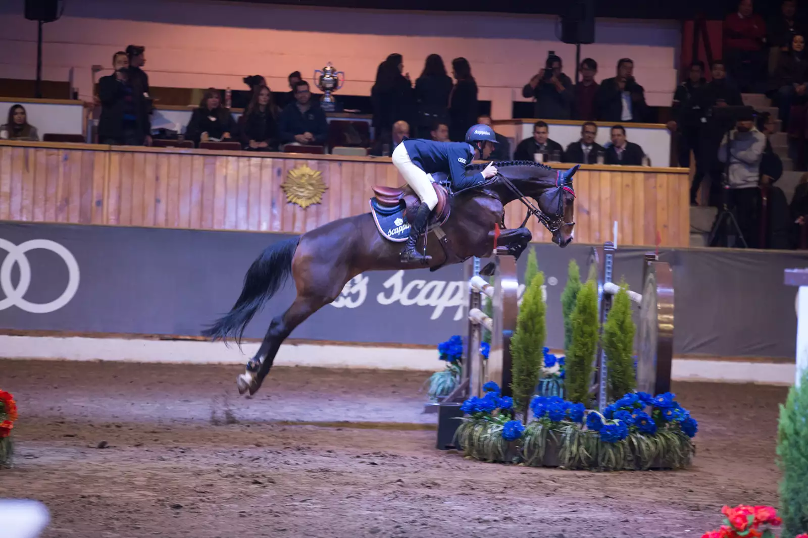 Copa Audi-Scappino
