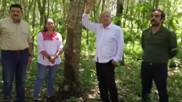 El equipo de rescate al campo: el senador electo Javier May, la futura secretaria María Luis Albores López Obrador y el futuro funcionario Hugo Chávez.