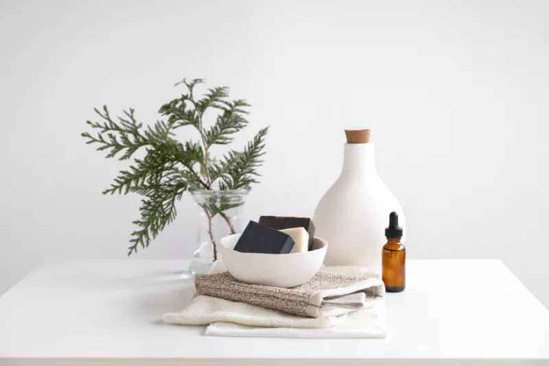 Plantas para dar un olor fresco a tu hogar 
