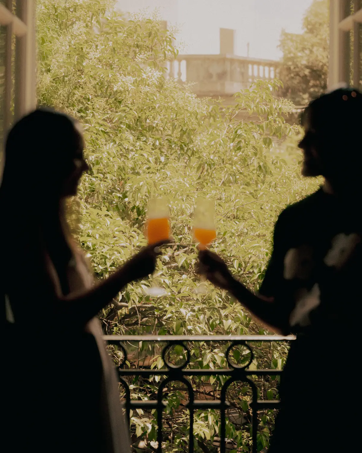 Dos mujeres brindando con una copa en una terraza