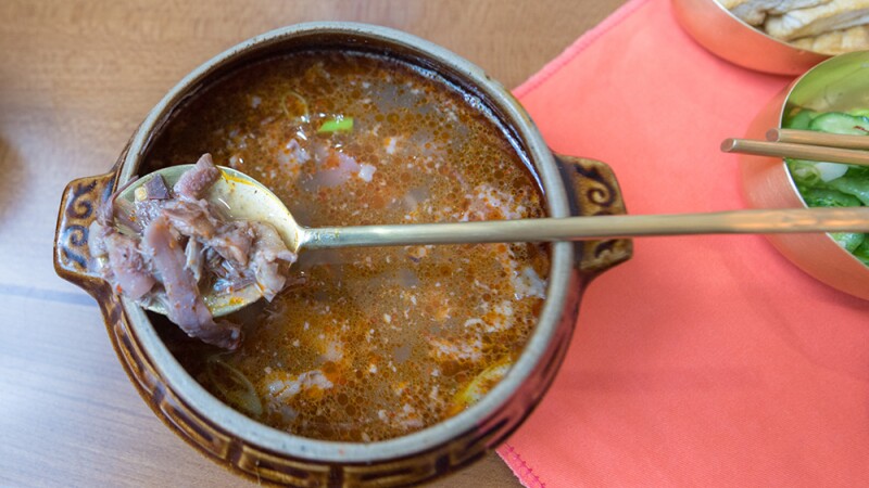 Sopa de perro
