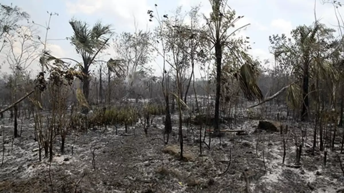 Incendios