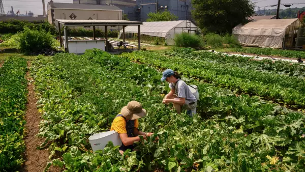 agro campo economía méxico