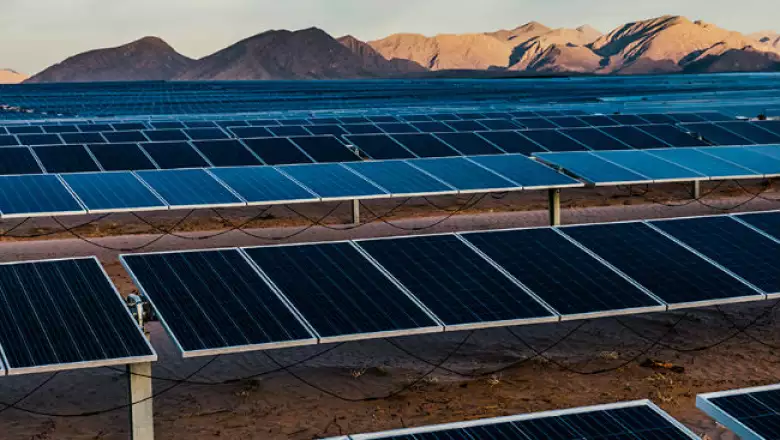 huerto solar Enel 1
