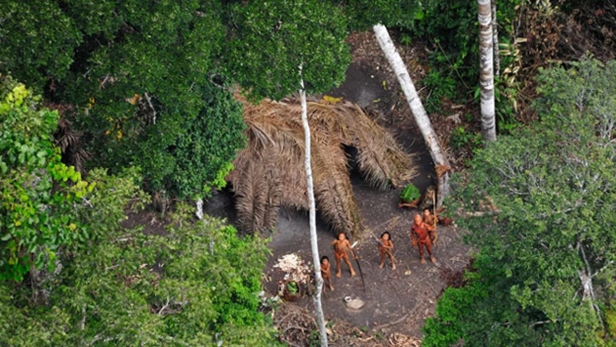 survival international