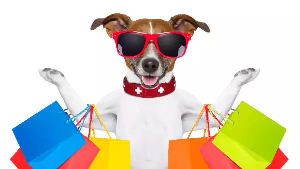 Tecnología para perros.