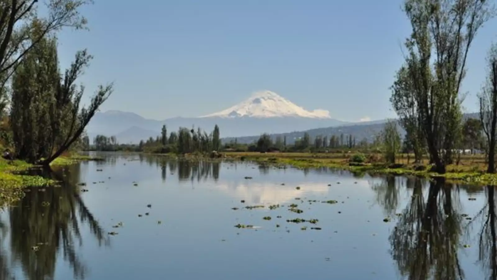 canales de xochimilco