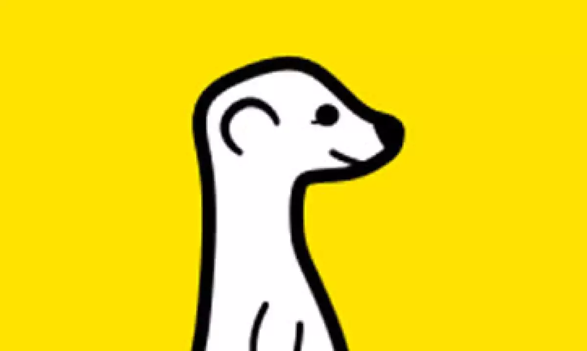 Meerkat tiene en San Francisco y debutó en febrero. (Foto: Tomada de meerkatapp.co )