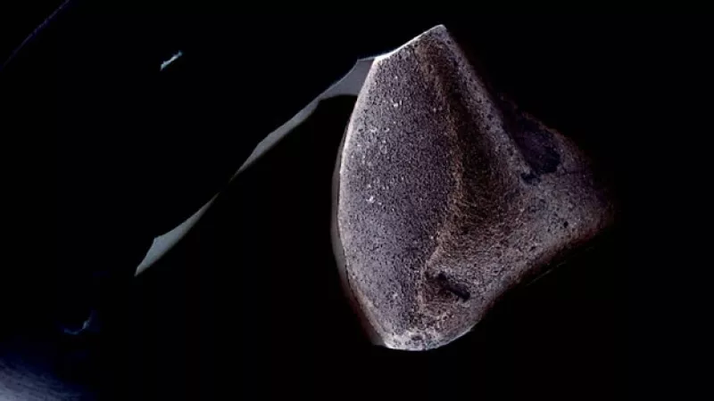 reproduccion de un meteorito