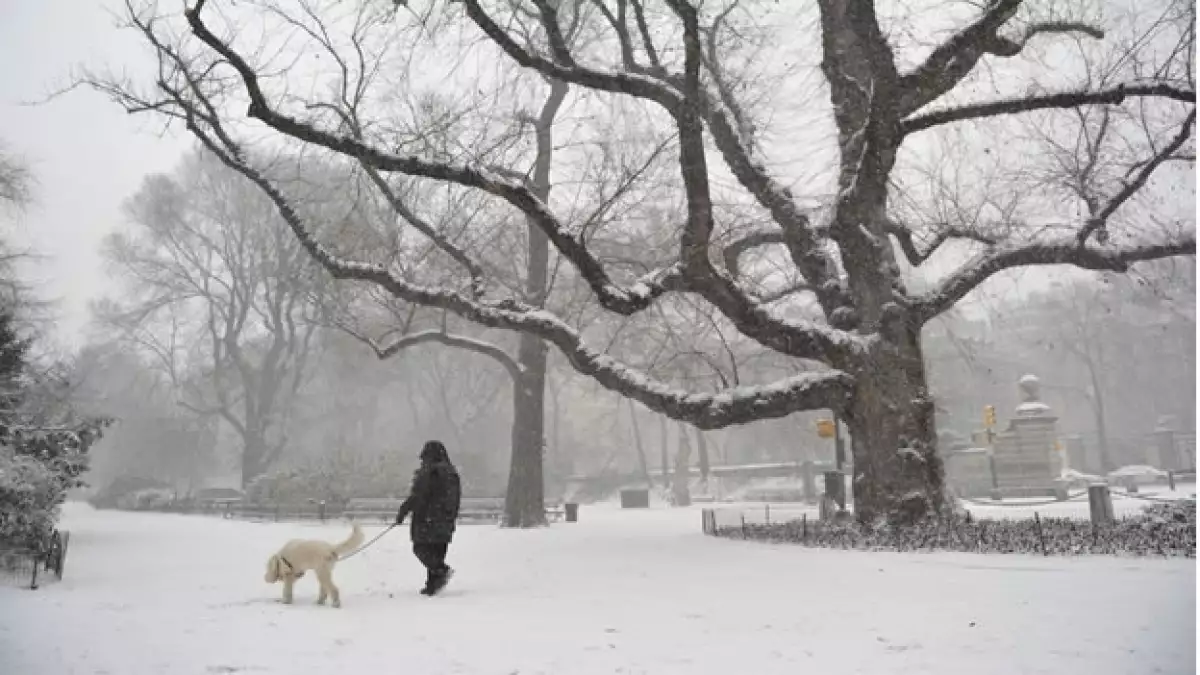 tormenta de nieve en estados unidos
