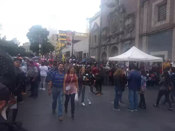 Desfile consulta