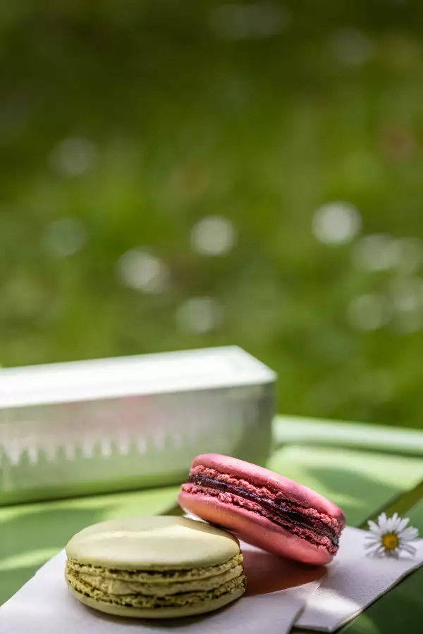 Ambiance Goûter aux Tuileries 2 HD.jpg