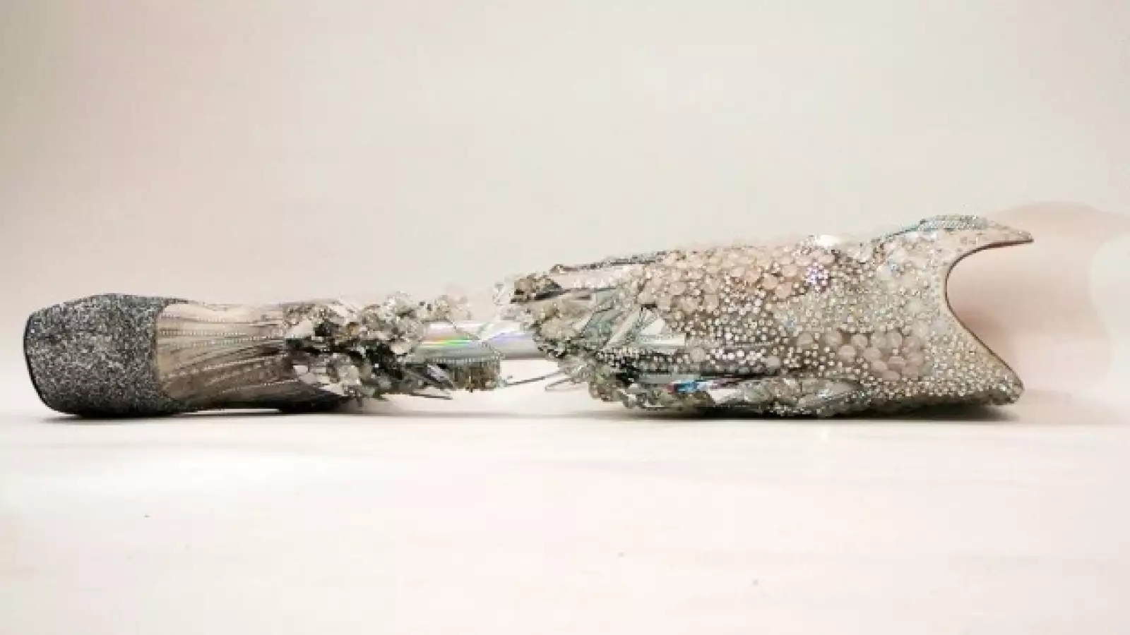 alternative-limb-project-02