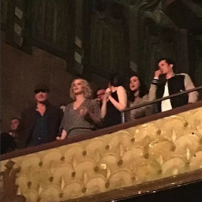 Como un gran grupo de amigos, estos famosos disfrutaron de un show que la cantante inglesa ofreció en Los Ángeles.