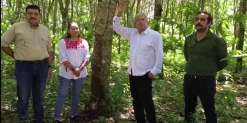 El equipo de rescate al campo: el senador electo Javier May, la futura secretaria María Luis Albores López Obrador y el futuro funcionario Hugo Chávez.