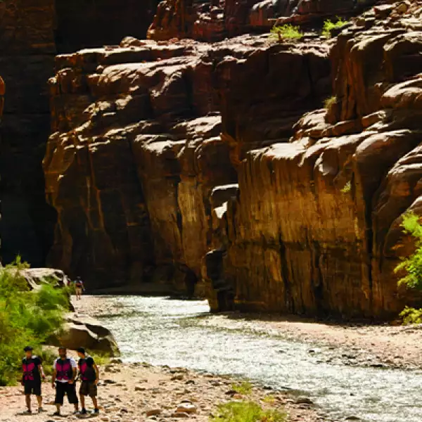 8)	Por el sendero que lleva a la reserva natural de Wadi Arugot se ven impresionantes cañones, piscinas naturales, además de la particular flora de la localidad, como acacias y juncos gigantes.