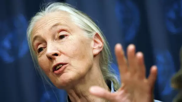 60th Session Of UN General Assembly Continues