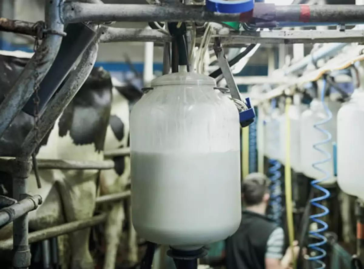 fabrica leche