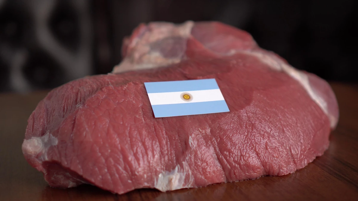 Raw meat and flag of Argentina