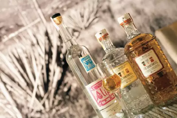 Los Danzantes tiene una increíble selección de mezcales.