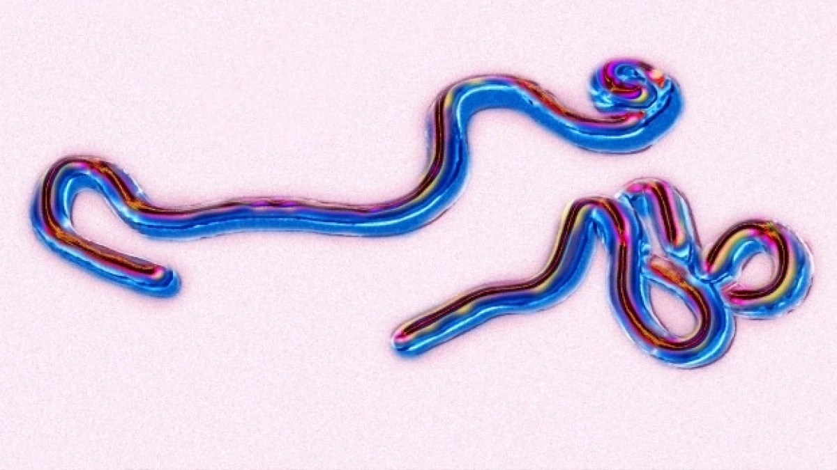 pandemia
