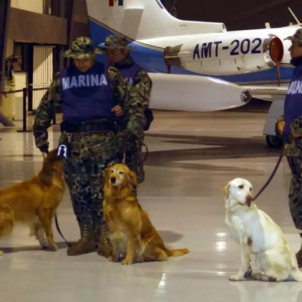 `No sabemos decir si hay veinte, treinta o cien mil muertos, pero sabemos que es la mayor catástrofe que hayamos enfrentado nunca en este país´, dijo el portavoz del Programa Mundial de Alimentos de la ONU.
