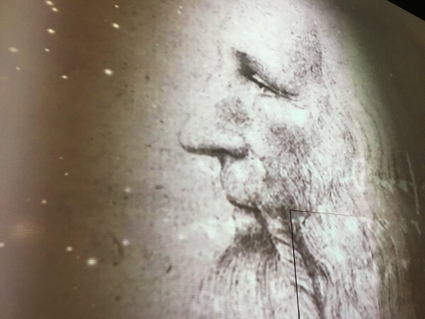 Da Vinci Experience