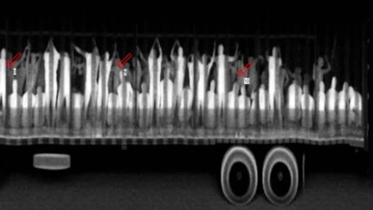 imagen de escaner rayos x camion migrantes