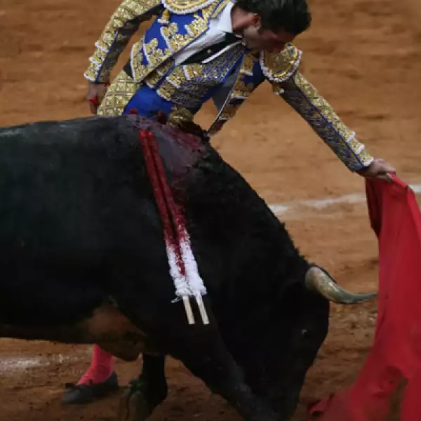 Corrida de Toros 15/02