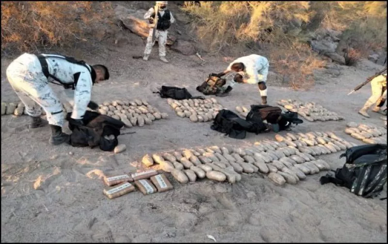 México se queda corto en decomisos de fentanilo, solo asegura 20% de lo que captó EU