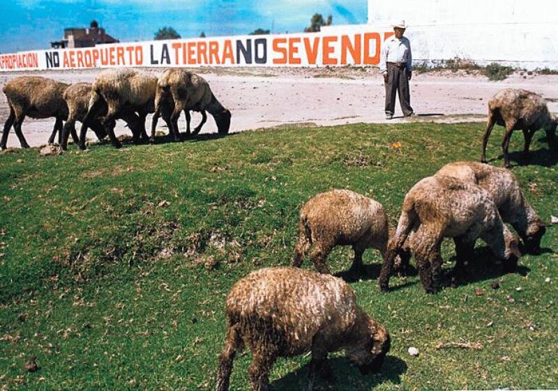 la eterna opci�n