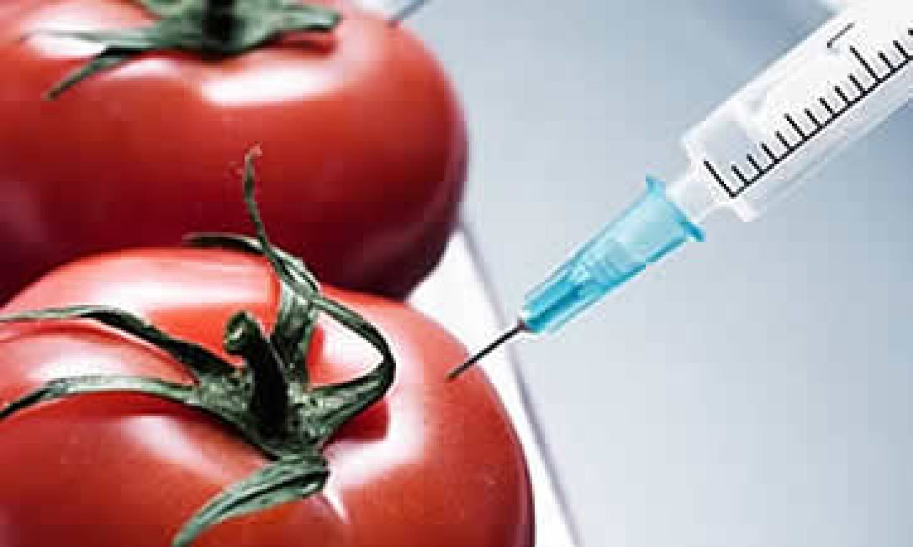 Consumes Biotecnologia Y No Te Habias Dado Cuenta
