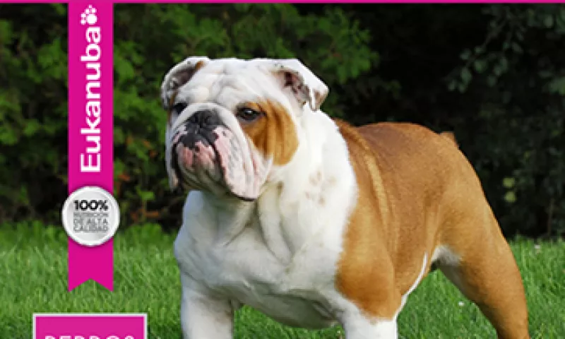 Mars tiene marcas como Pedigree, Whiskas y Royal Canin. (Foto: tomada de Facebook/EukanubaLA)