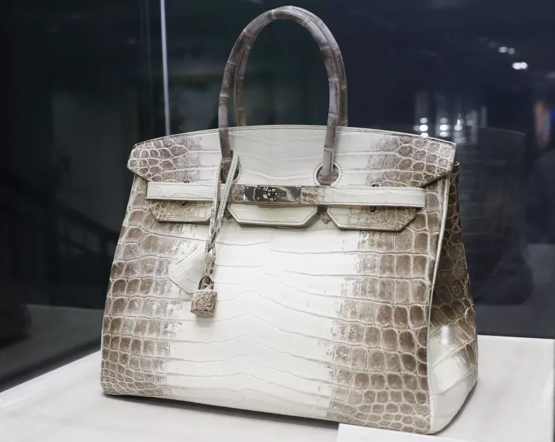 hermes birkin himalaya