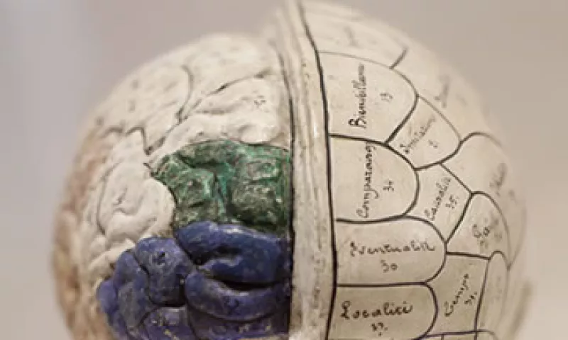 El próximo 17 de agosto se realizará en la Ciudad de México el Primer Seminario de Neuromarketing. (Foto: AP)